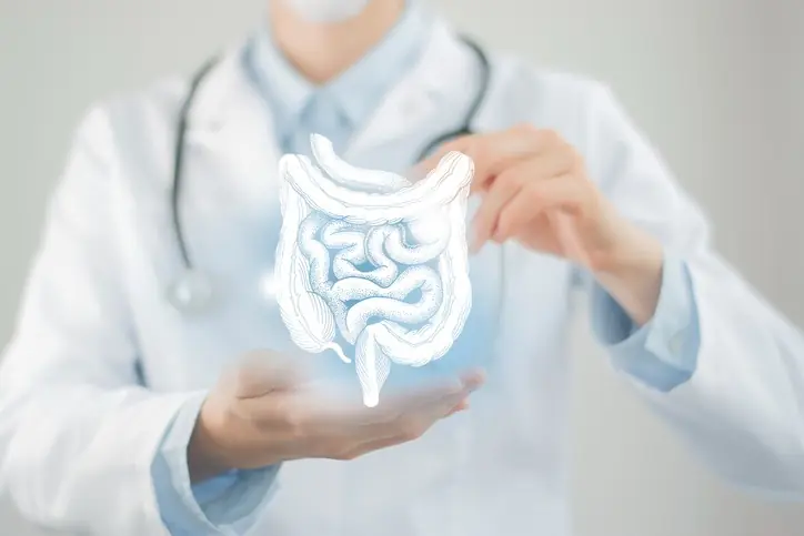 Digestión y control de apetito